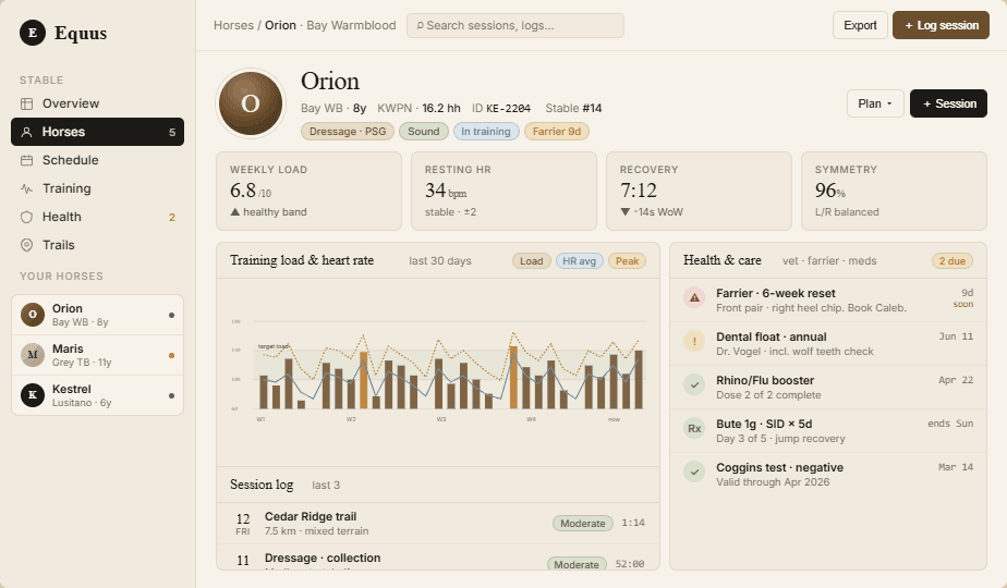 Equus — AR & AI Companion for Equestrian Training — gallery photo 2